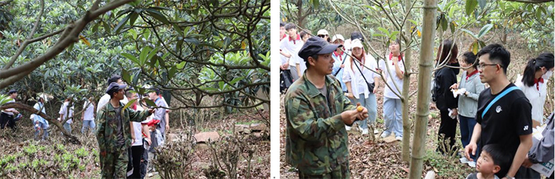 kaiyun开云官方 kaiyun开云官方