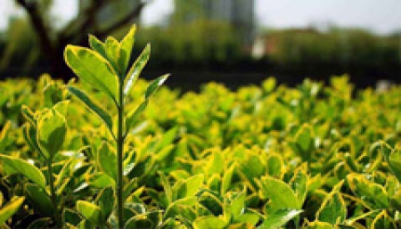 kaiyun开云官方 kaiyun开云官方