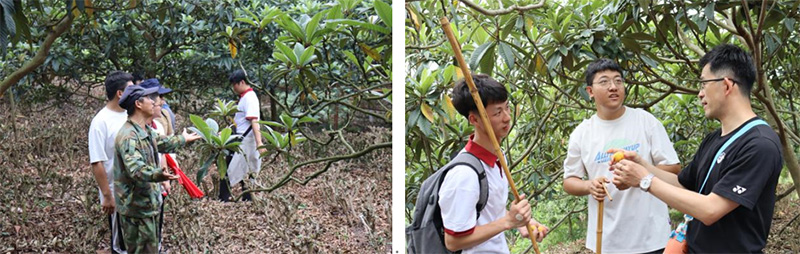 kaiyun开云官方 kaiyun开云官方