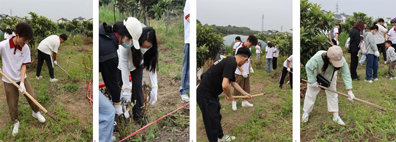 kaiyun开云官方 kaiyun开云官方