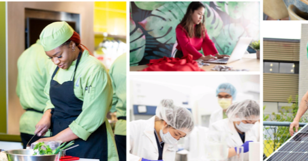 kaiyun开云官方 kaiyun开云官方